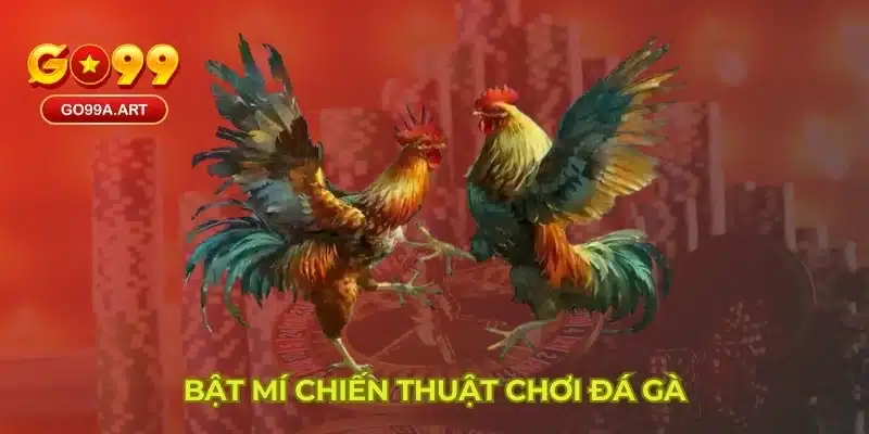 Bật mí chiến thuật chơi đá gà